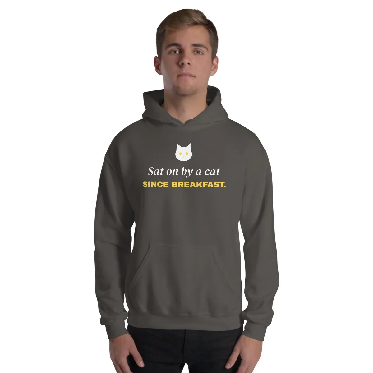 Sat on by a cat since breakfast — charcoal unisex hoodie: On model, front