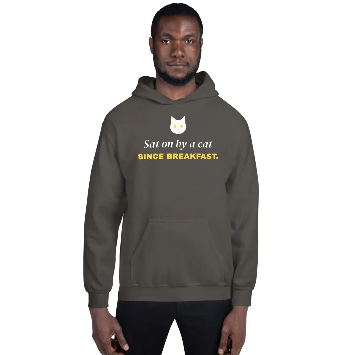 Sat on by a cat since breakfast — charcoal unisex hoodie: On model, front