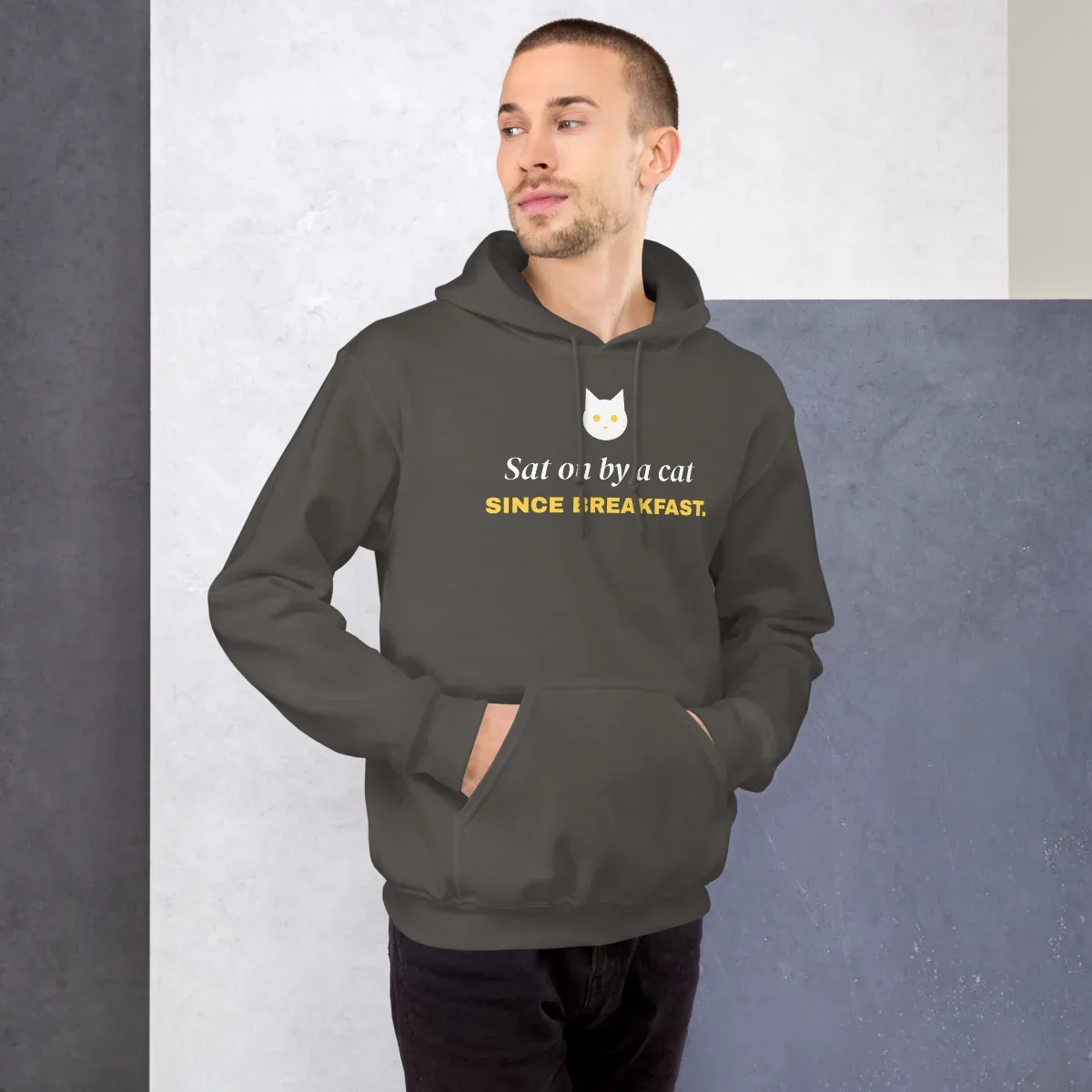 Sat on by a cat since breakfast — charcoal unisex hoodie: On model, front